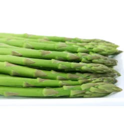Asperge Voltaire En Griffes - Asparagus Officinalis