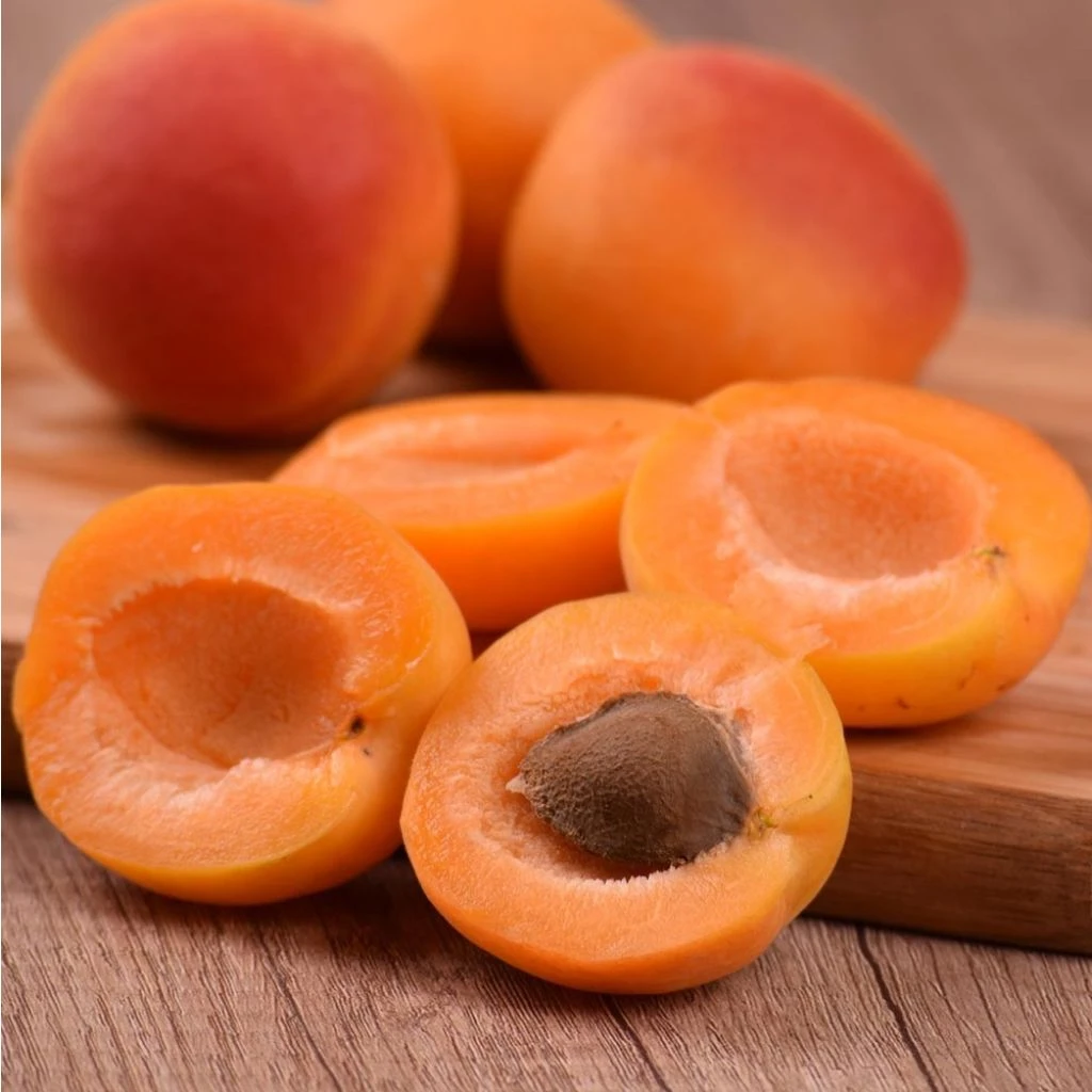 Flore Parfaite Soldes Boutique 17 Flore Parfaite Soldes Boutique -Flore Parfaite Soldes Boutique 1